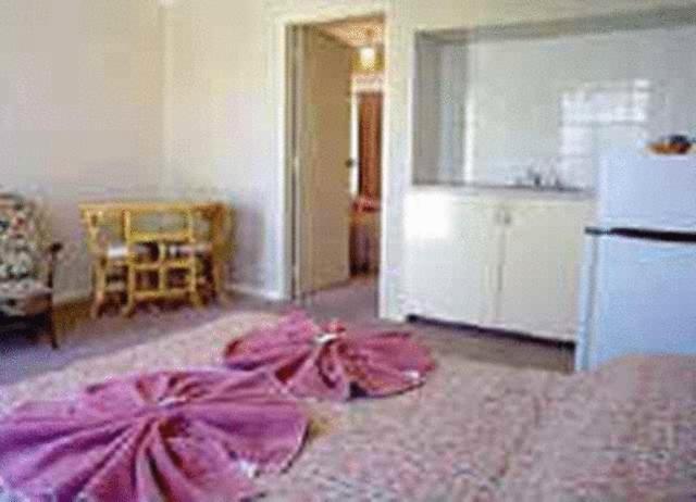White Gum Motel Алис Спрингс Стая снимка